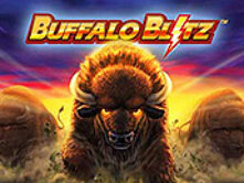 Buffalo Blitz