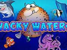 Wacky Waters