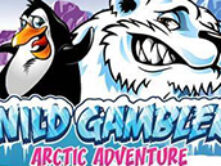 Wild Gambler Arctic Adventure
